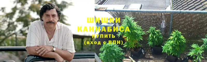 как найти наркотики  Абаза  Канабис конопля 